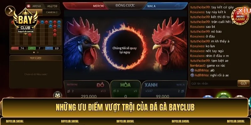 Đá gà BAYCLUB